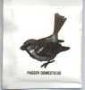  bird3_small.jpg